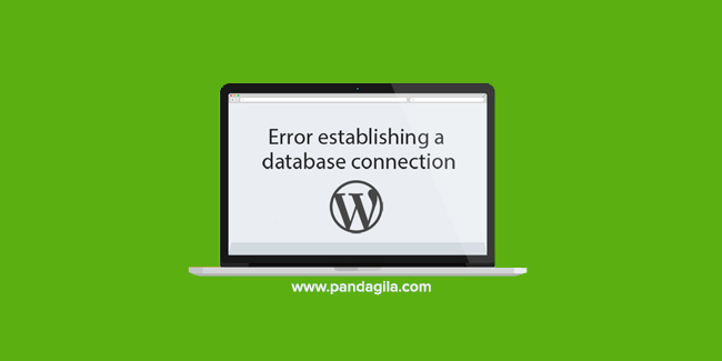 Cara Mengatasi Error Establishing a Database Connection di WordPress