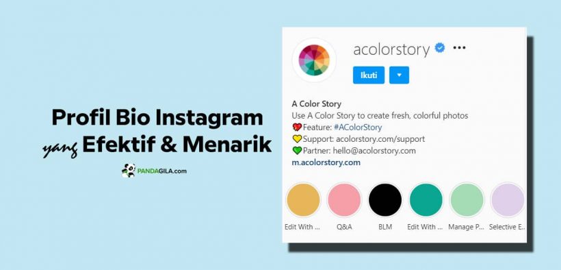 Membuat profil bio Instagram yang menarik dan efektif