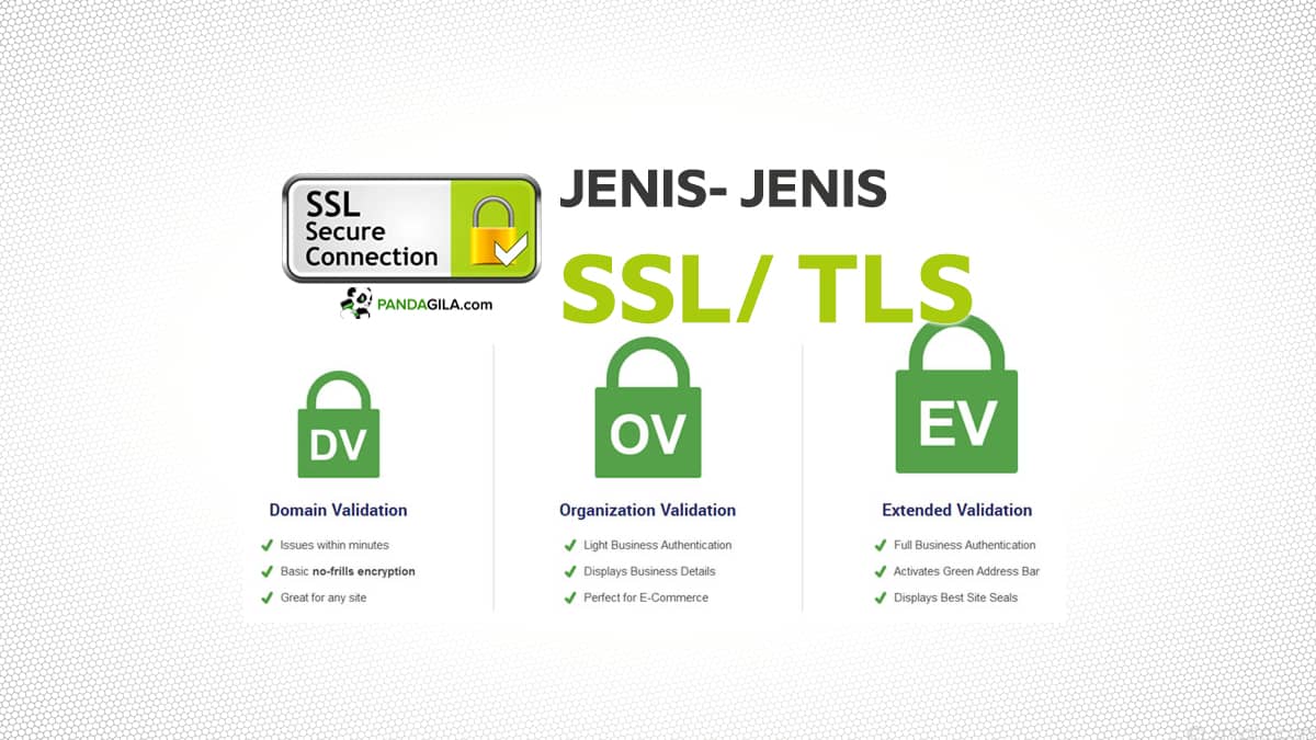 Jangan Salah Pilih, Kenali Jenis- Jenis SSL untuk Mengamankan Website Anda