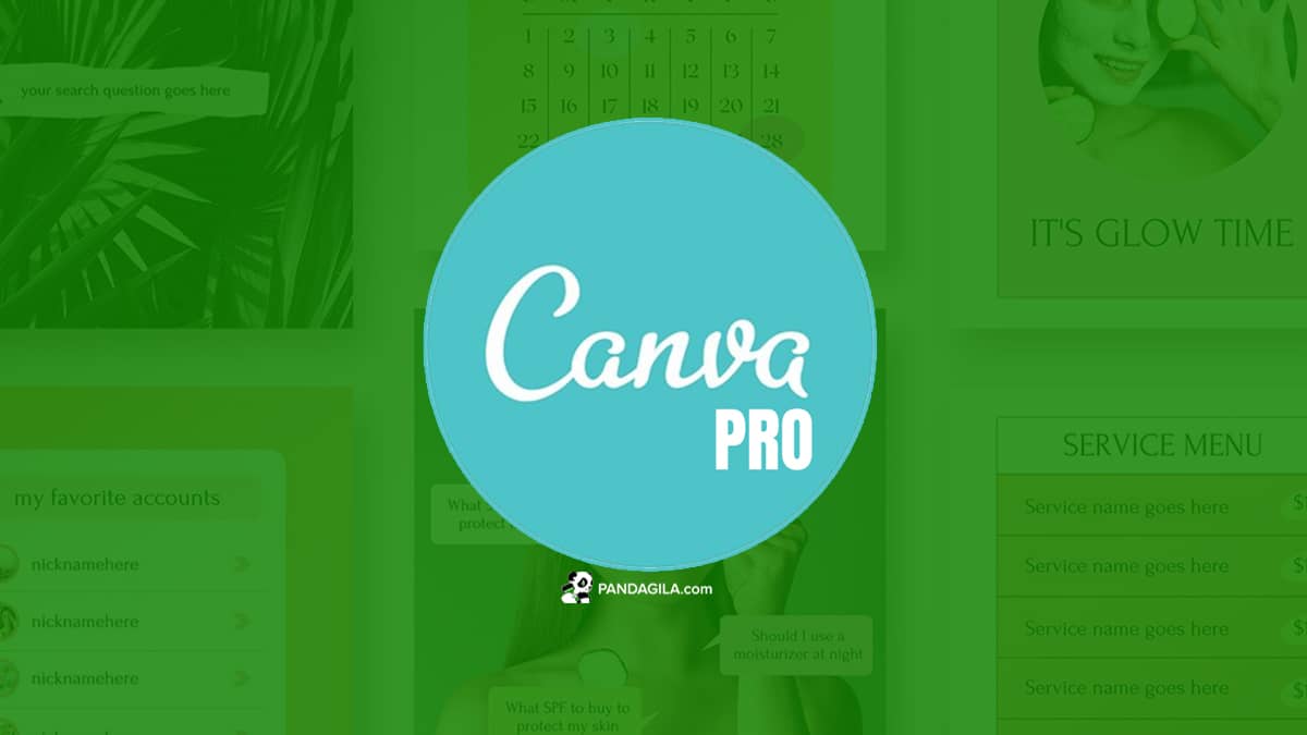 Canva Pro : Layak kah Digunakan? Simak Daftar Keuntungan nya