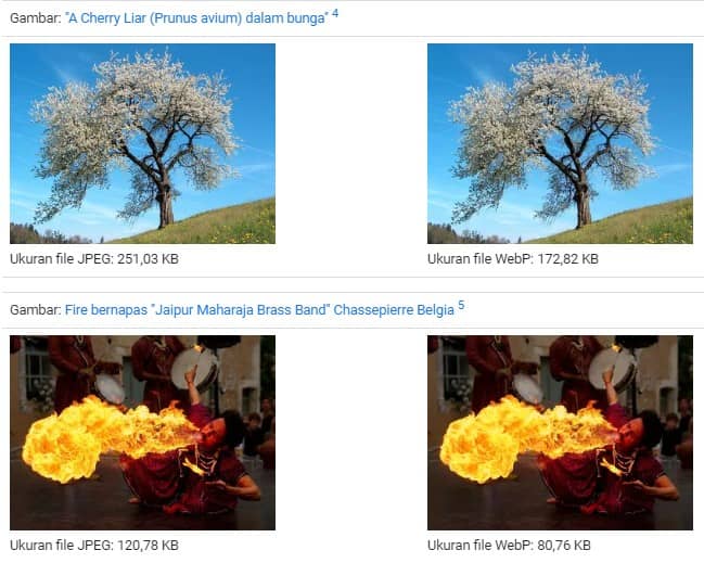 Perbandingan gambar WebP dengan JPEG dan PNG