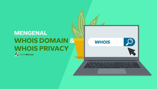 Apa itu Whois Domain dan Whois Privacy