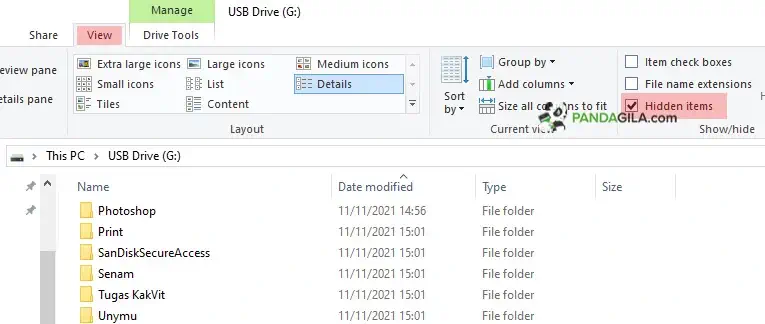 Menampilkan File Tersembunyi di Flashdisk lewat Setting Folder View